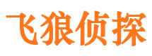 河北区飞狼私家侦探公司